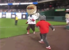 That Cat tackles Teddy Roosevelt in the Washington Nationals Presidents Race