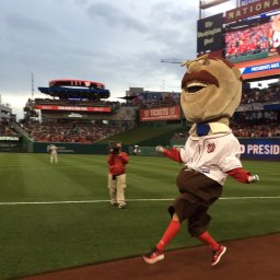 Teddy Roosevelt pulls the rug out from racing presidents on opening day